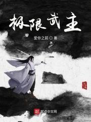 极限武主起点