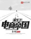 重生电商为主