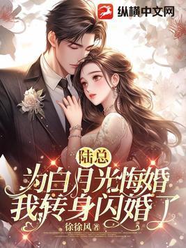 我转身闪婚了完整版